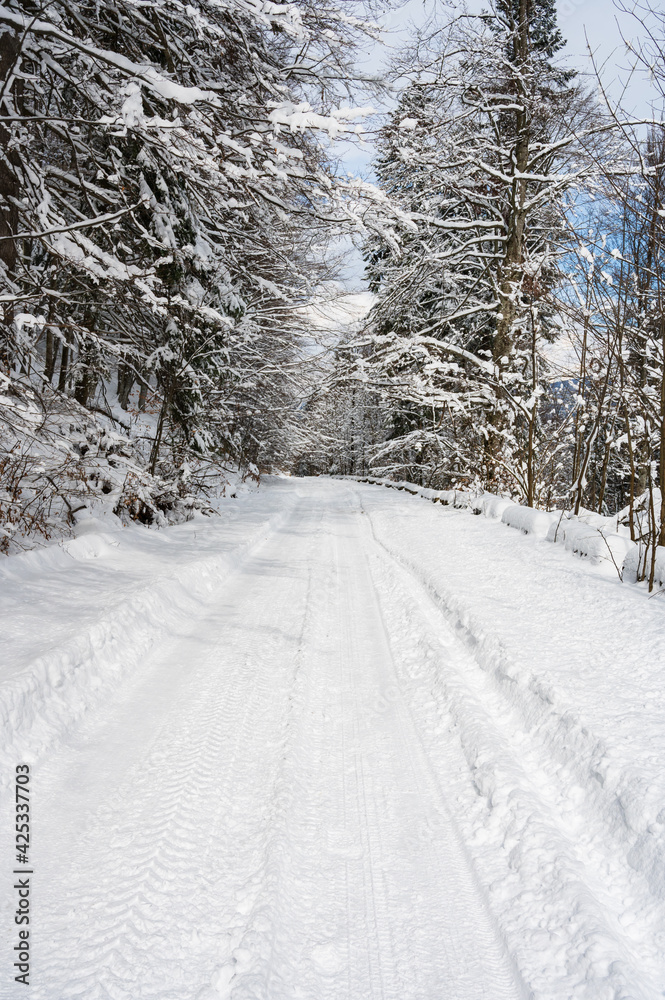 Snow covered mountain road in the forest