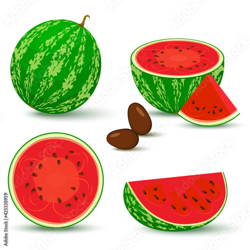 Watermelon vector. Bright vector set of half, whole slice of cut watermelon isolated on white background. Vector illustration.