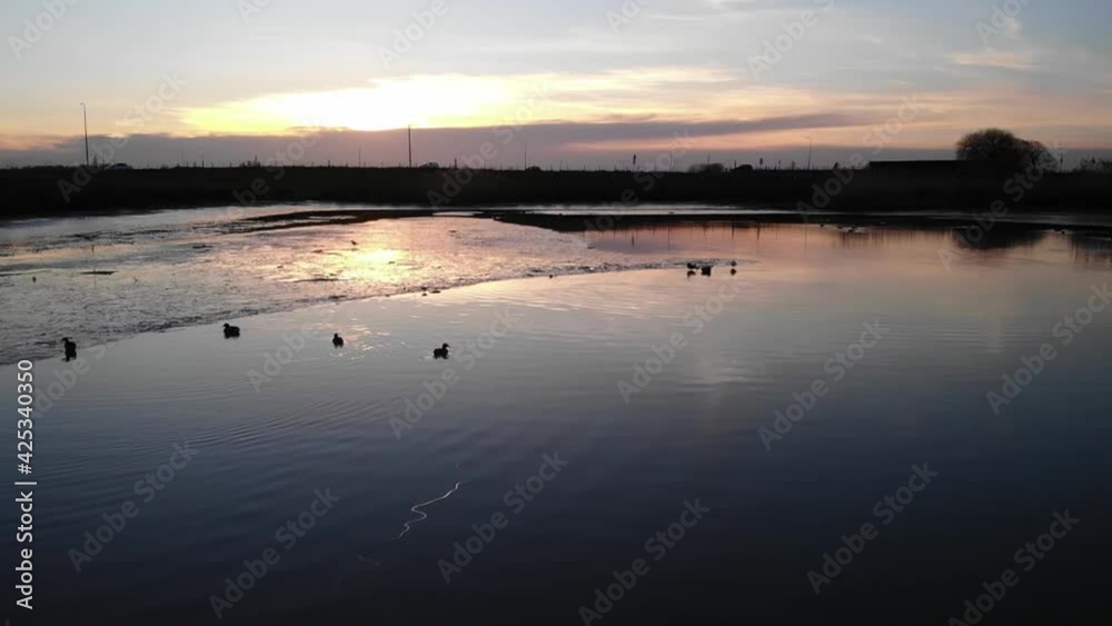 Birds on calm lake with colorful sunset on the horizon. Aerial slow motion. Birds on calm lake with colorful sunset on the horizon. Aerial slow motion.