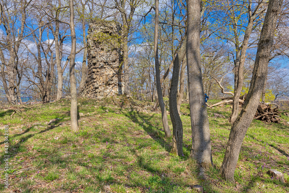Lauenburg bei Stecklenberg Harz