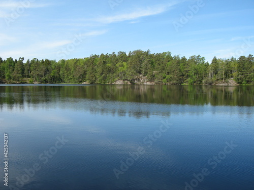 lake in the forest