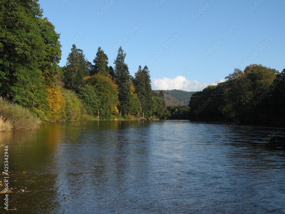 summer lake in forest