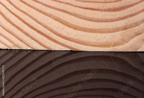 Fotografia The structure of the cross-section of a pine log with reflection in the stele su