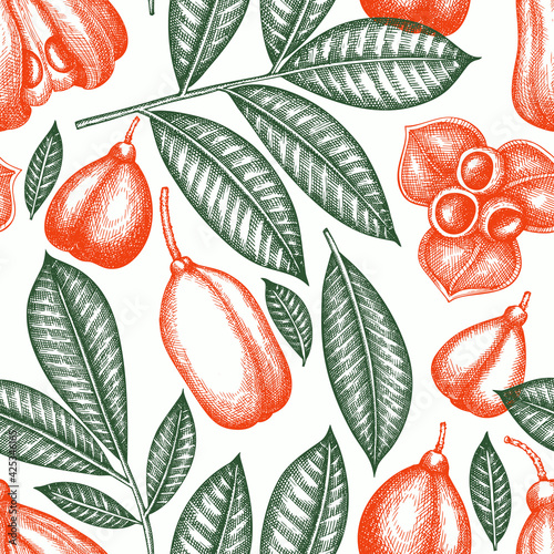 Hand drawn sketch style ackee seamless pattern. Organic fresh food vector illustration. Retro exotic fruit  background.