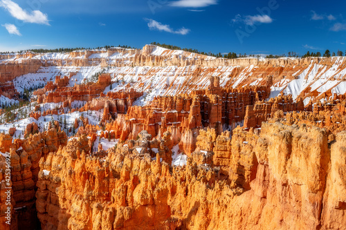 Canyon filled with orange colored hoodoos in Utah’s Bryce canyon