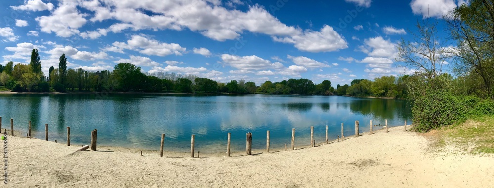 lake and forest panorama 