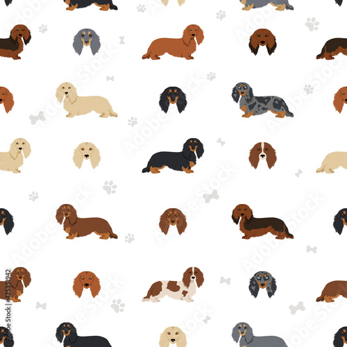 Dachshund long haired seamless pattern. Different poses, coat colors set.