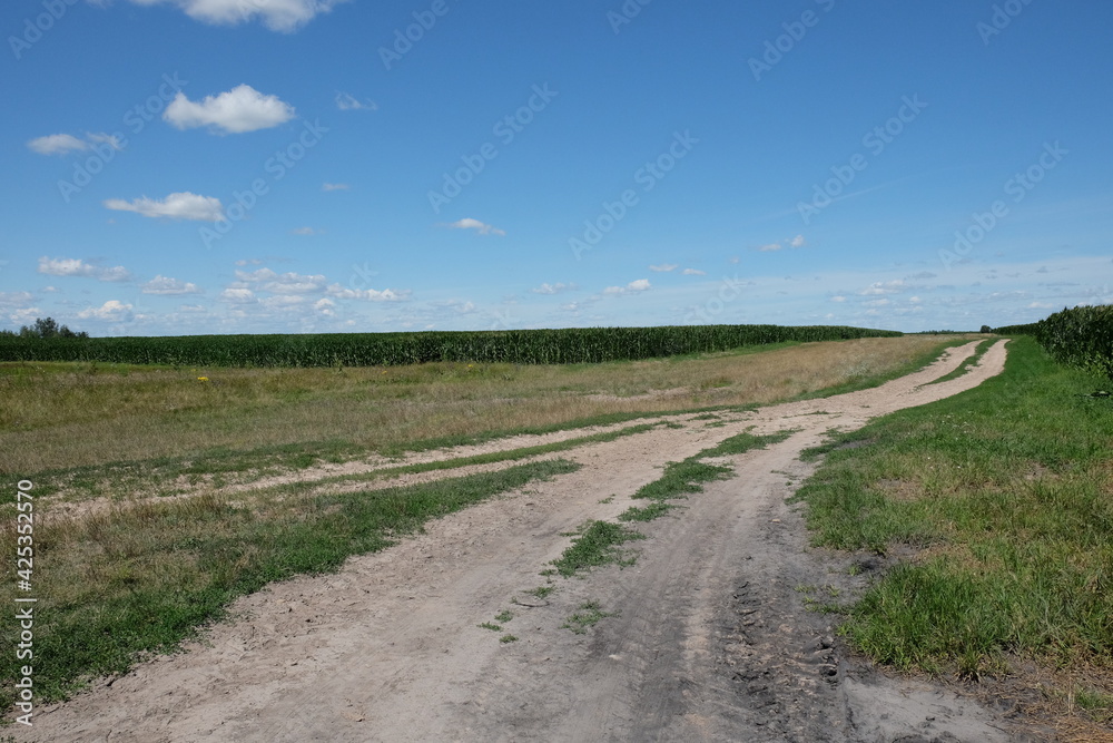 Long dirt road in a field under a blue sky. Scenery.