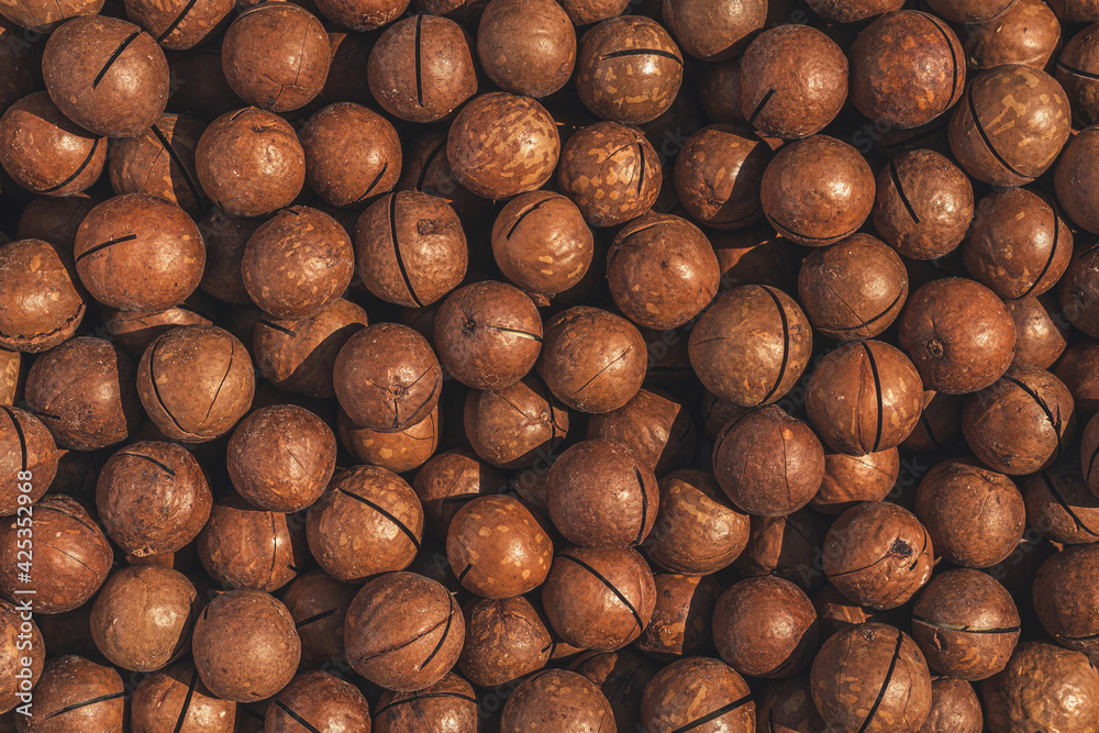 many organic macadamia nuts close-up, top view. many organic macadamia nuts close-up, top view.