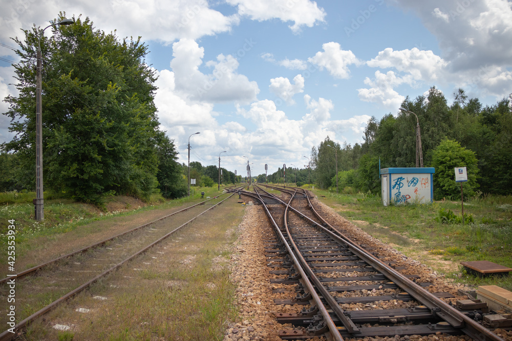 railway in the forest