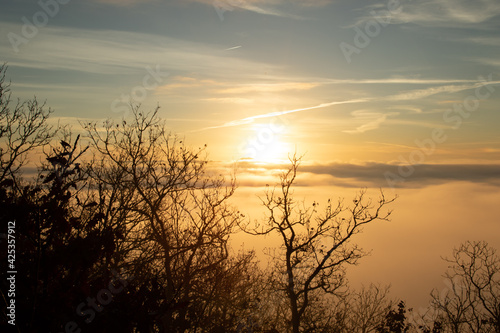 Moselschleife, Über den Wolken, Nebel