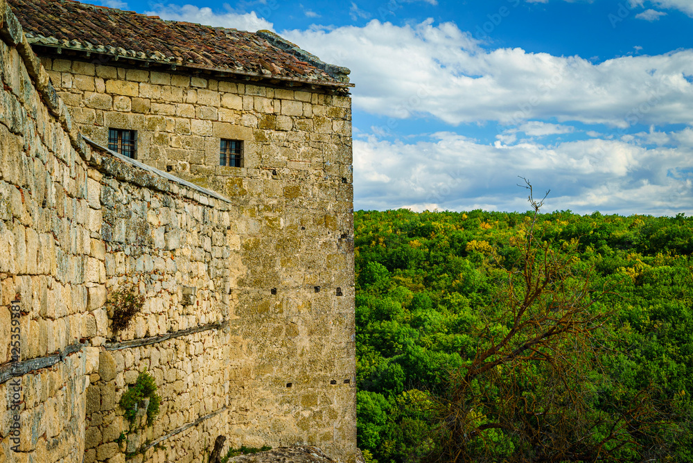 Fototapeta premium ruins of the castle