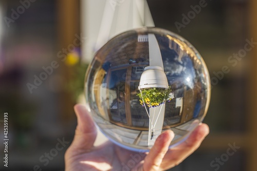 Close up macro view of hand holding crystal ball with inverted image of hanging basket  with yellow purple pansies. Sweden.