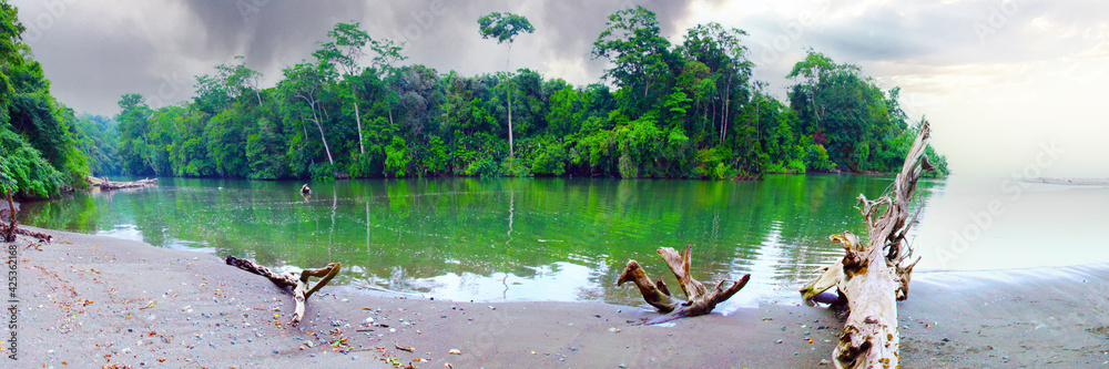 Riviere dans le parc national Corcovado au Costa Rica