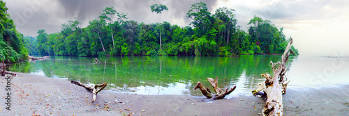Obraz na płótnie Riviere dans le parc national Corcovado au Costa Rica w salonie