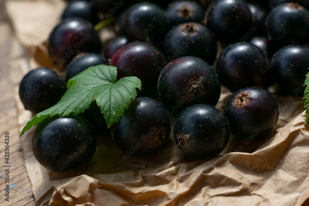 Macro photo of many black currants on paper, old fashioned composition close up