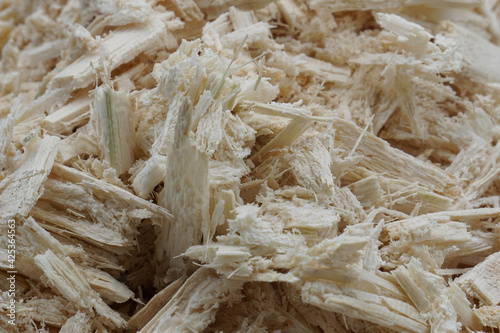 Принти на полотні Dried bagasse is piled together