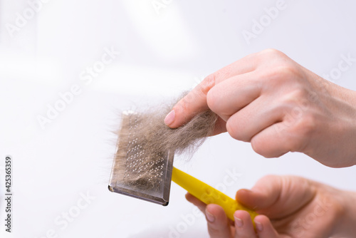 Cleaning pet hair with a remover. Hand and fur of a cat. Cleaning furniture from wool. A household cleaner for dandruff, hair, debris, hair and pet fluff