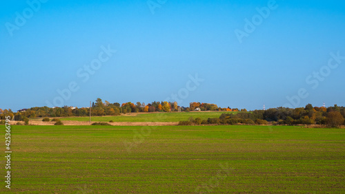 Panoramic view of green grass on slope with blue sky