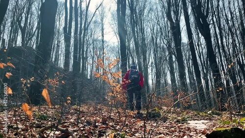 A man with a backpack hiking the mount. Early spring forest.