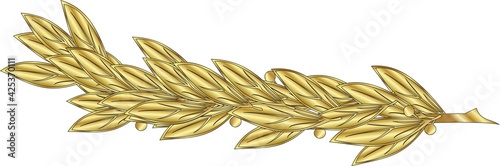 Golden heraldic laurel branch, on a white background. Vector image