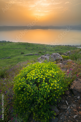 Peaceful orange sunset over the Sea of Galilee, with flower-covered hill slope i Fototapet