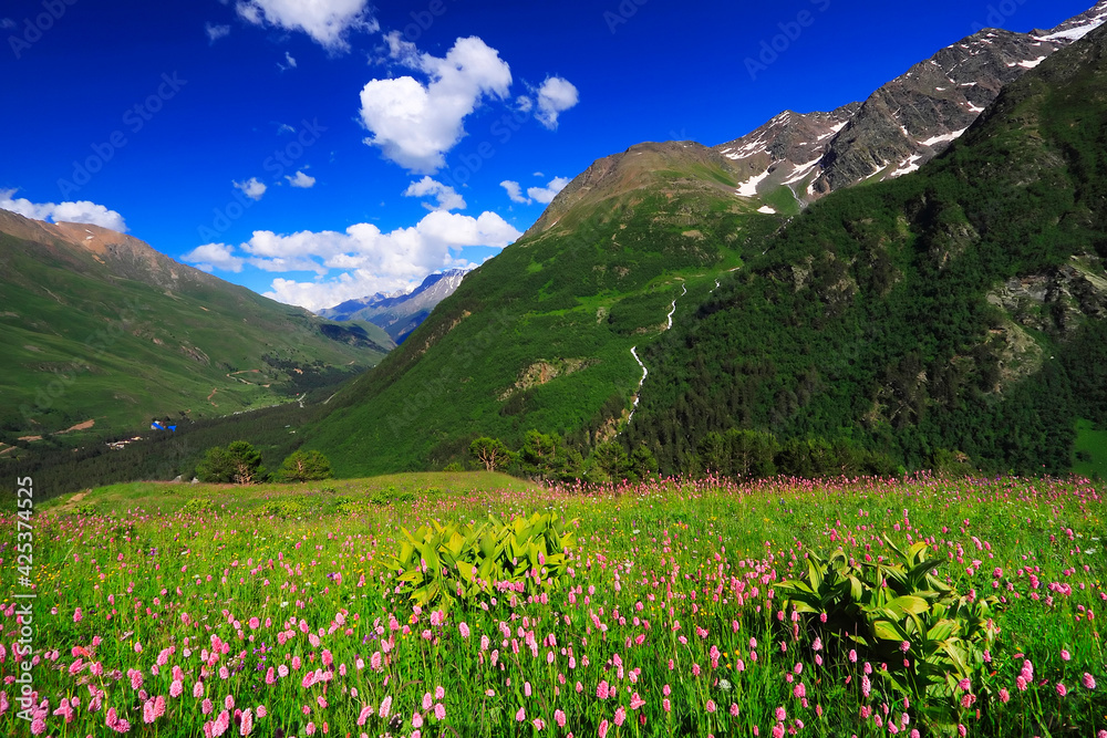 Beautiful landscape of the Caucasus mountains, nature of the Elbrus region. Panoramic view of the Greater Caucasus Mountain Range Beautiful landscape of the Caucasus mountains, nature of the Elbrus region. Panoramic view of the Greater Caucasus Mountain Range