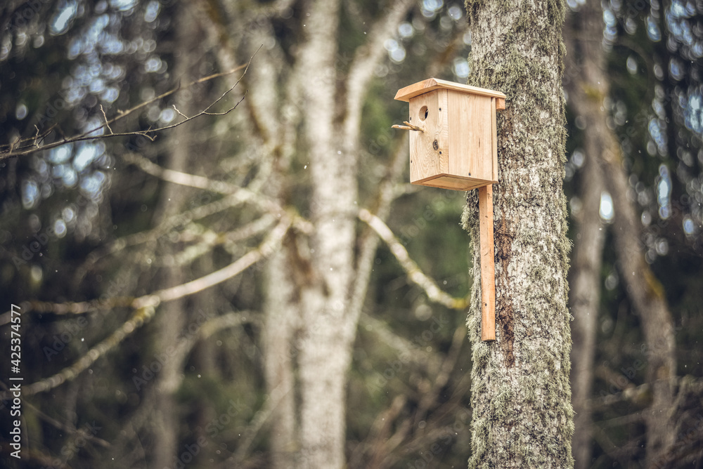 Birdhouse on a tree trunk