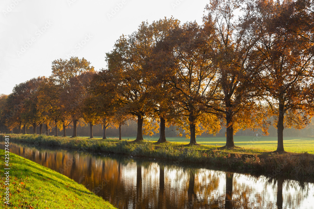 Colorful trees along the water in the autumn. Colorful trees along the water in the autumn.