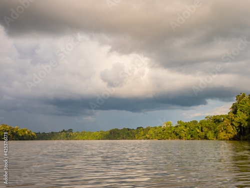 Amazonia photo