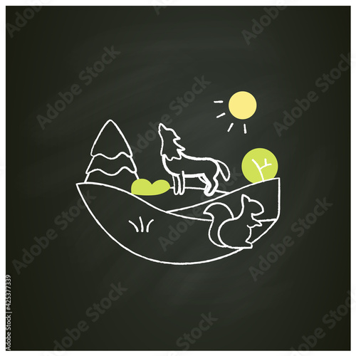 Temperate forest chalk icon.Forest found between tropical,boreal regions,located in temperate zone. Living place for different animals. Isolated vector illustration on chalkboard