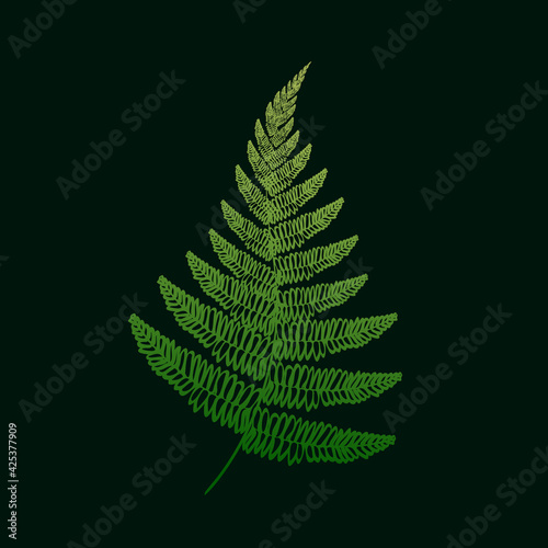Natural fern leaf isolated on dark green background. Wild elegant forest plant. Botanical vector illustration.