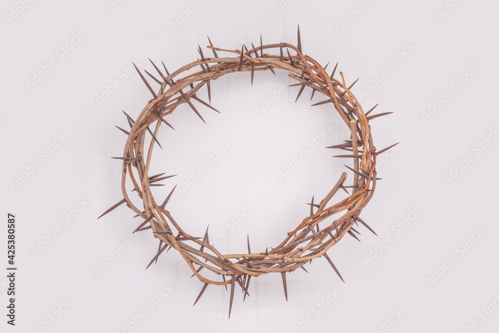 Fototapeta premium Crown of thorns Jesus Christ isolated on white