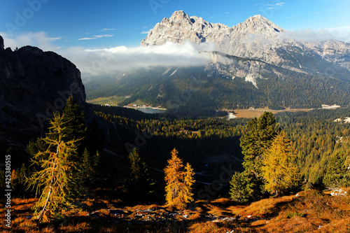 Autumn landscape in Cadini di Misurina  Dolomites  Italy  Europe 