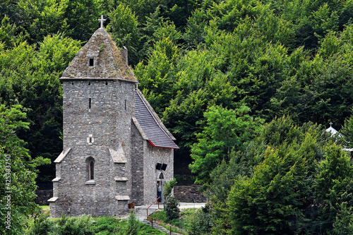 Картината върху платно Colti Fortress in Retezat Mountains, Romania