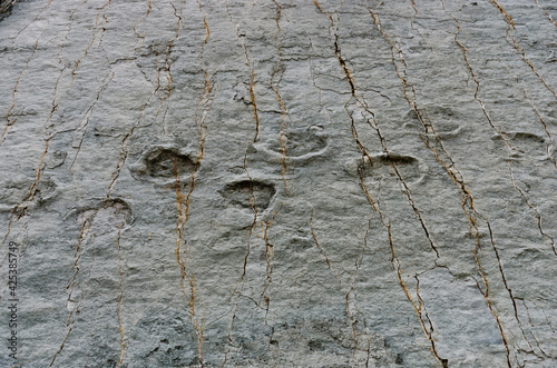 Dinosaur Tracks on the Wall of Cal Orko, Sucre, Bolivia photo
