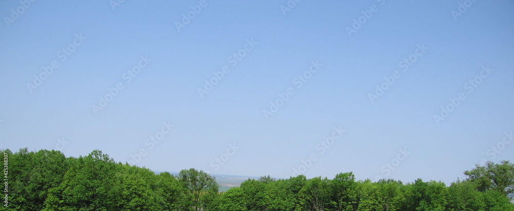 Obraz premium green grass and sky