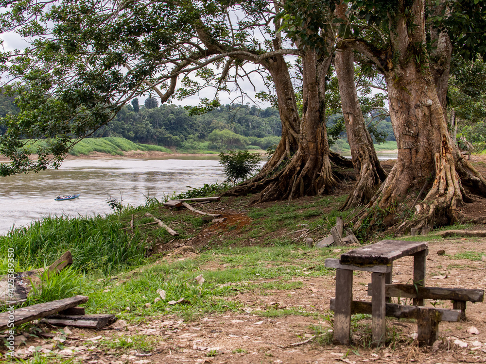 Amazonia Amazonia