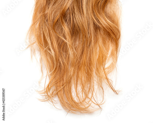 Curly curls, shaggy hair, dirty blonde head as texture isolated on white