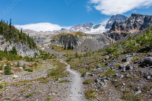 Fototapeta Naklejka Na Ścianę i Meble -  Wonderland Trail, Mount Rainier National Park