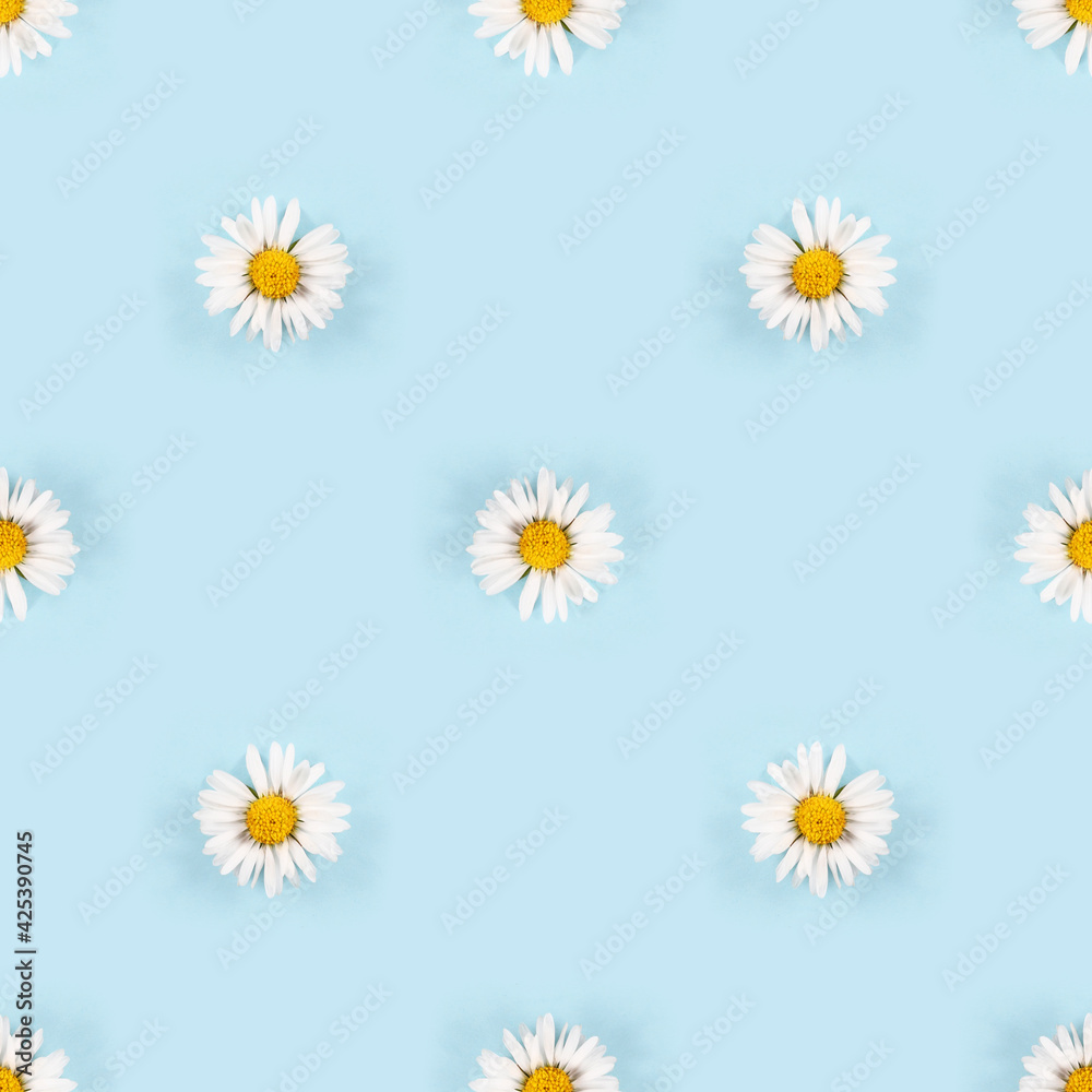 Seamless pattern with small daisy flowers with white petals on blue background