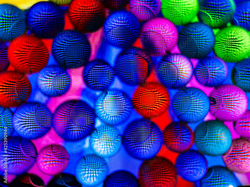 Fototapeta premium eggs