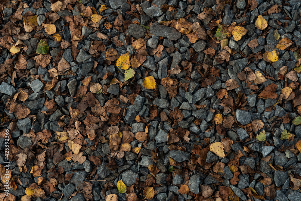 Crushed stones with yellow leaves Crushed stones with yellow leaves