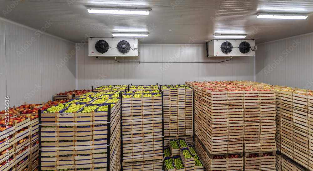 Fruits in crates ready for shipping. Cold storage interior. Stock Photo