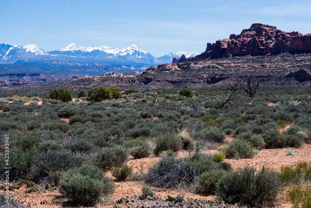 Scenic view from Panorama Point Overlook in Arches National Park - Moab, Utah, USA