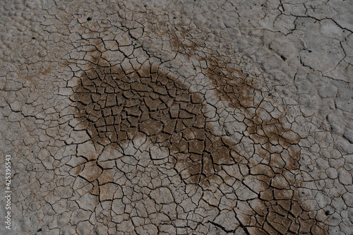 Photography Dry cracked soil in a barren desert