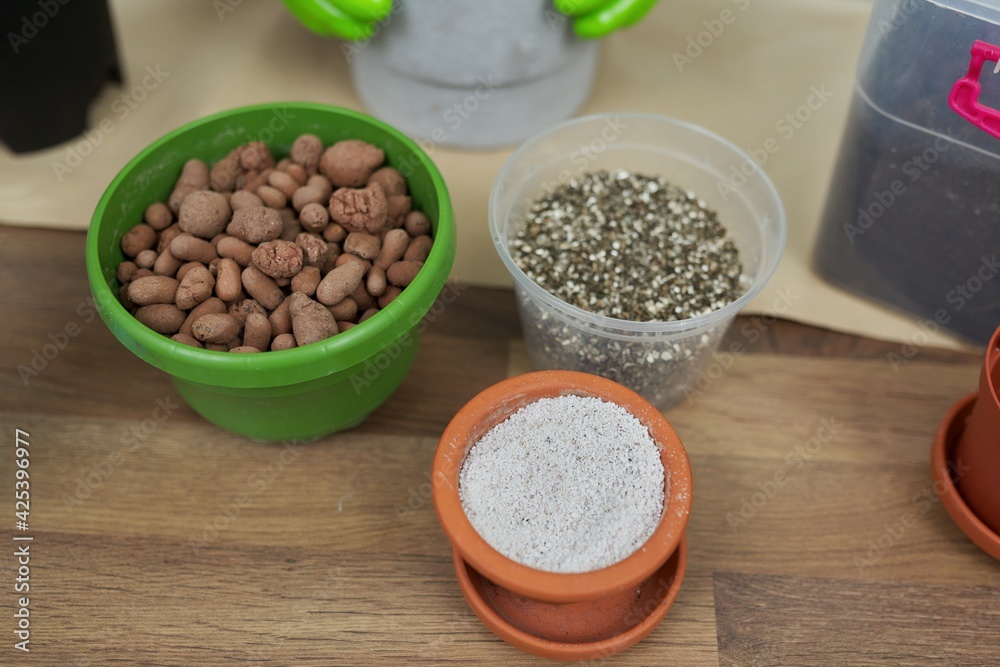 Houseplants, green eco urban trends. Close-up care of indoor plants