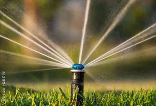 Konstfotografi Close-up of automatic irrigation sprinkler watering the lawn at sunset
