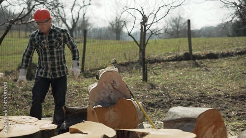 Lumberjack using crowbar photo