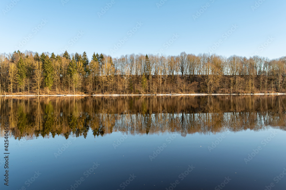 Frontal view of the blue river and the bank with tall trees. The clear blue sky and trees are reflected in the water. Spring landscape with a lake in the evening Frontal view of the blue river and the bank with tall trees. The clear blue sky and trees are reflected in the water. Spring landscape with a lake in the evening